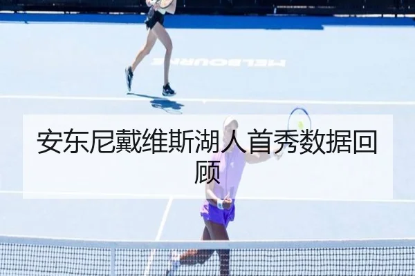 安东尼戴维斯湖人首秀数据回顾